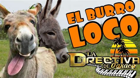 El Burro Loco .